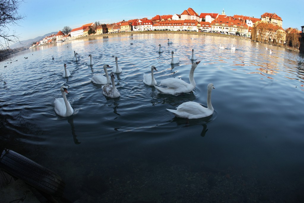 Slovenija, Maribor, 12.1.2012 - pogled na Lent  foto:Tadej Regent/Delo